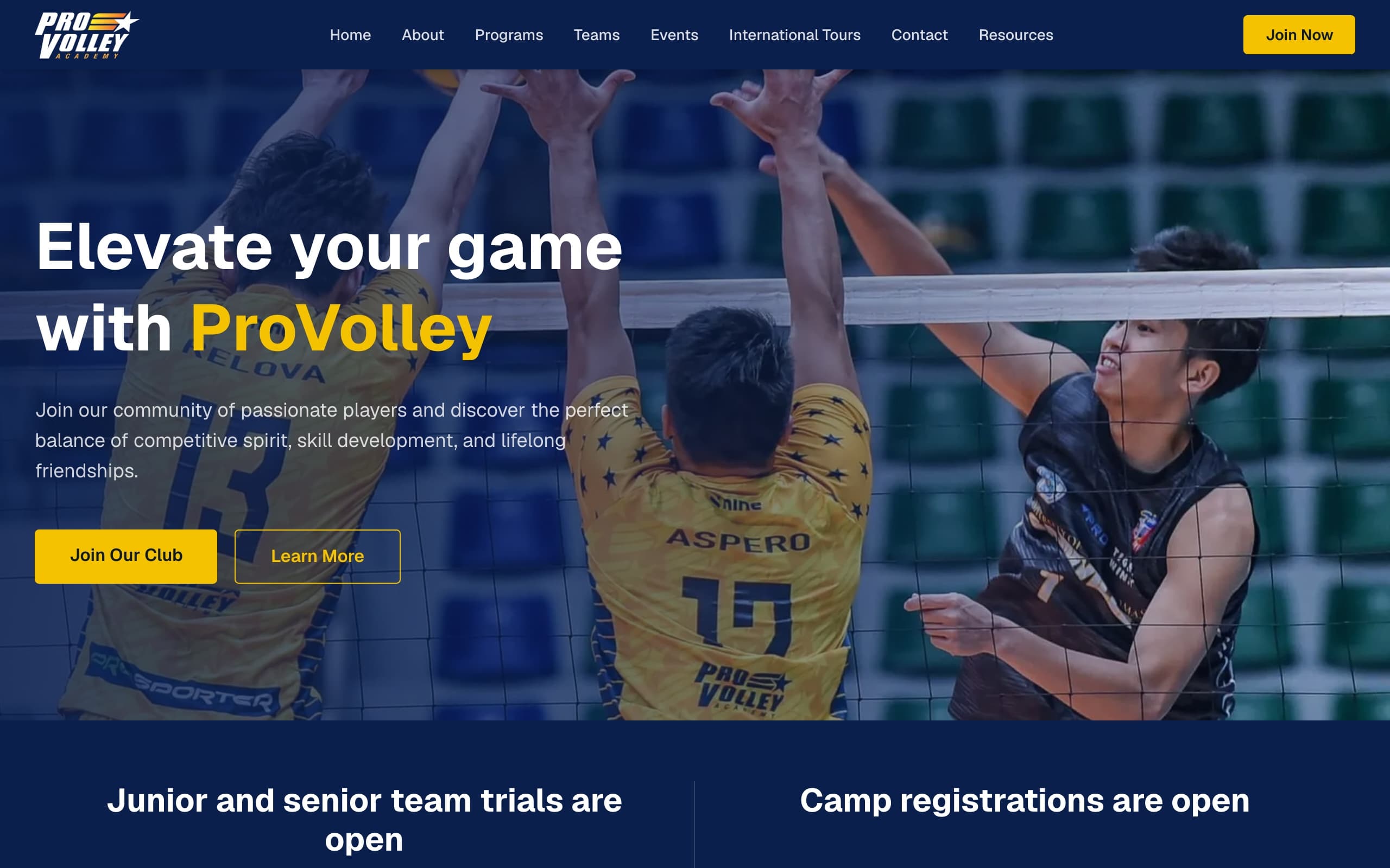 ProVolley Academy site, hero section