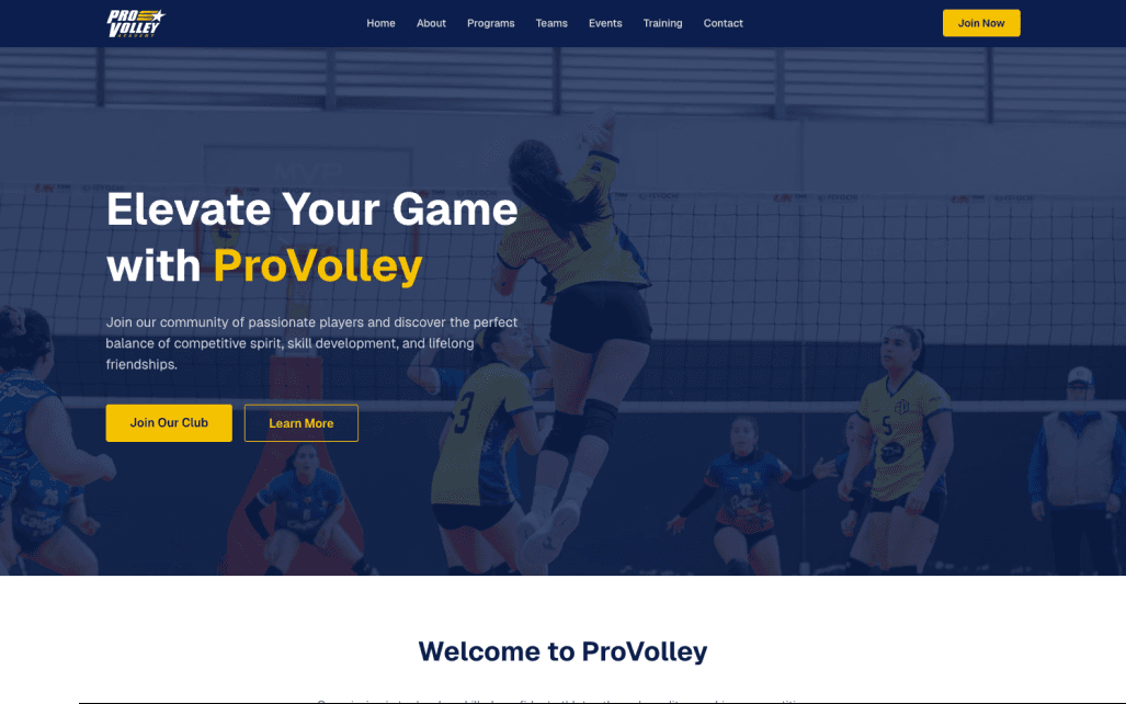 ProVolley Academy site, hero section